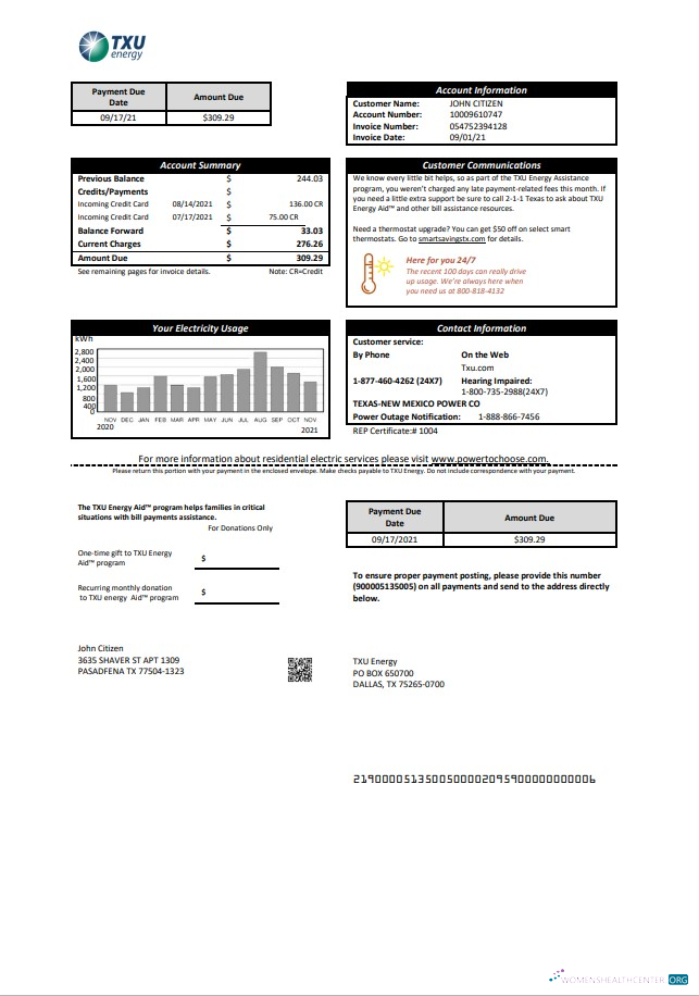 download download USA Texas TXU Energy utility bill template in Word and PDF format PDF template PDF template